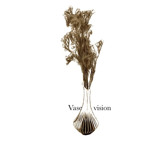 Vasevision